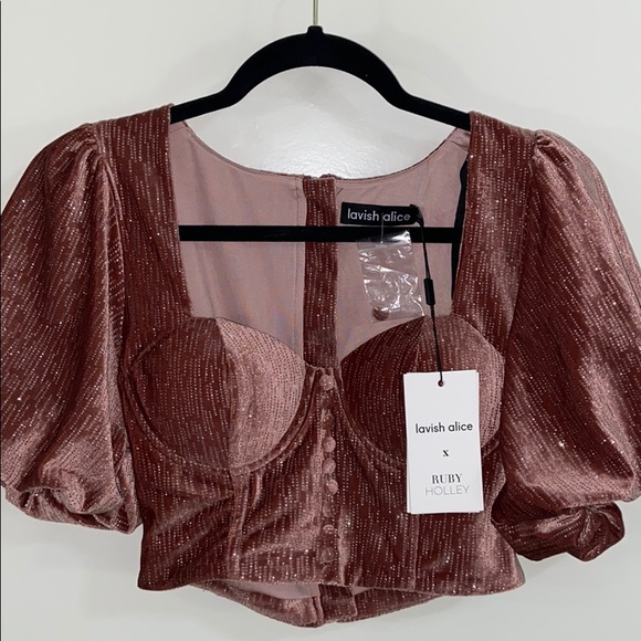 Lavish Alice Tops - Lavish Alice size 4 Velvet pink sparkly crop top.